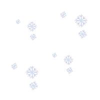 bg-snowflakes5.gif