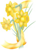 daffodils2_white_100.jpg